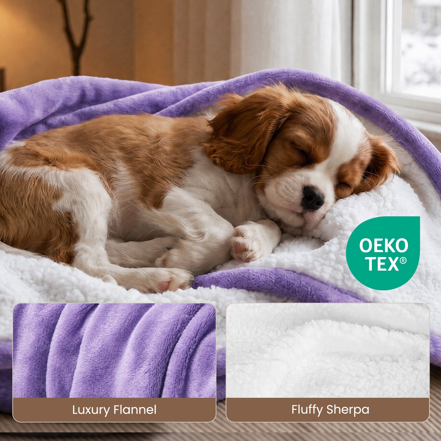 Calfancy Heated Blanket 50"×72", Oversized Electric Blanket with 6 Heat Levels, 4H Timer, ETL & FCC Certified, Fast Heating, OEKO-TEX Fabric, Purple