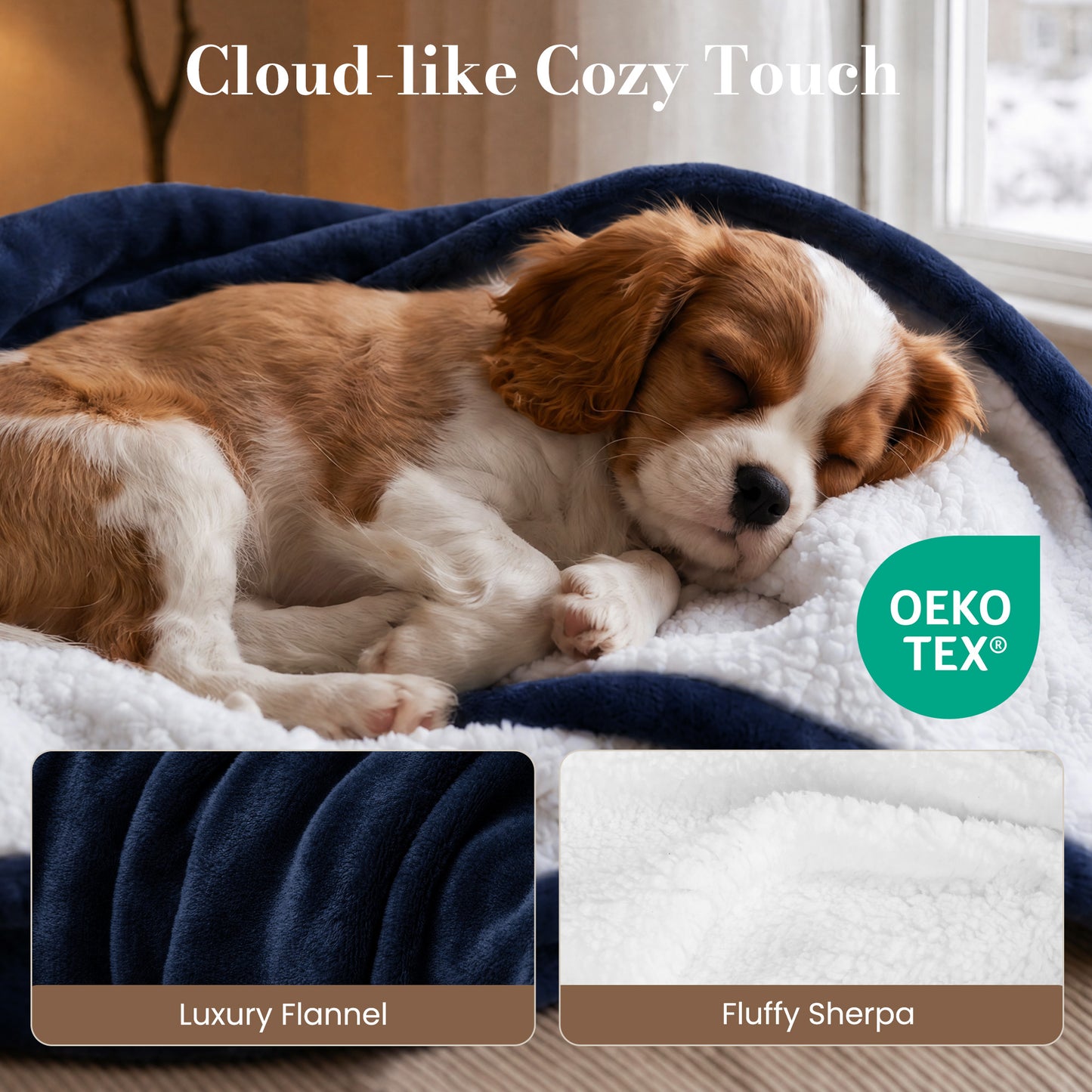 Calfancy Heated Blanket 50"×72", XL Electric Blanket with 6 Heat Levels, 4H Timer, ETL & FCC Certified, Fast Heating, OEKO-TEX Fabric, Navy Blue